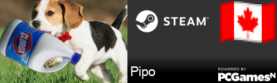 Pipo Steam Signature