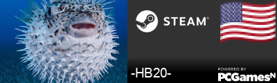 -HB20- Steam Signature