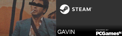 GAVIN Steam Signature