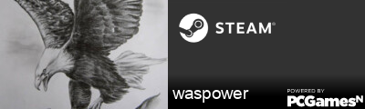 waspower Steam Signature