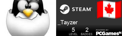 _Tayzer Steam Signature