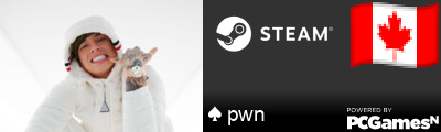 ♠ pwn Steam Signature