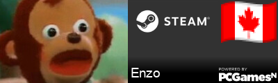 Enzo Steam Signature