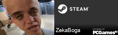 ZekaBoga Steam Signature