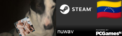 nuwav Steam Signature