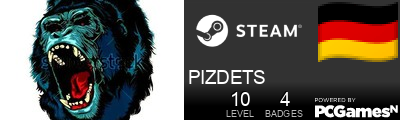 PIZDETS Steam Signature