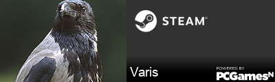 Varis Steam Signature