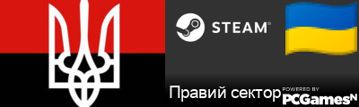 Правий сектор Steam Signature