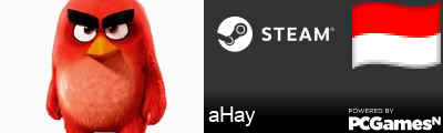 aHay Steam Signature