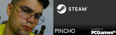 PINCHO Steam Signature