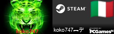 koko747︻デ   ▸ Steam Signature