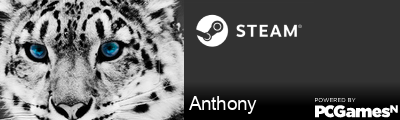 Anthony Steam Signature