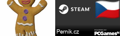 Pernik.cz Steam Signature