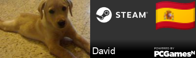 David Steam Signature