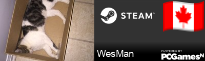 WesMan Steam Signature