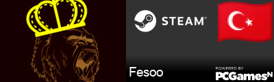 Fesoo Steam Signature
