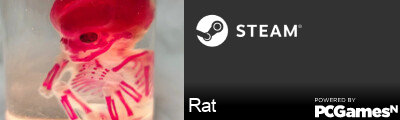 Rat Steam Signature