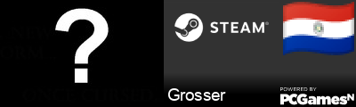 Grosser Steam Signature