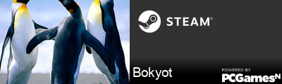 Bokyot Steam Signature