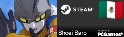 Shoei Baro Steam Signature