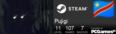Pujigi Steam Signature