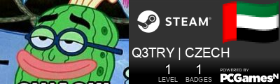 Q3TRY | CZECH Steam Signature