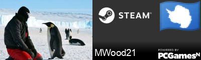 MWood21 Steam Signature