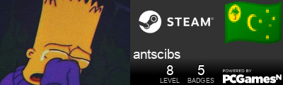 antscibs Steam Signature