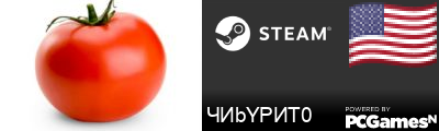 ЧИbYРИТ0 Steam Signature