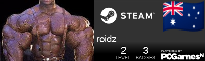 roidz Steam Signature