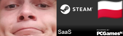 SaaS Steam Signature