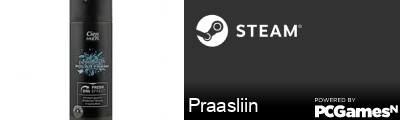 Praasliin Steam Signature