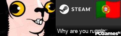 Why are you runnin Steam Signature