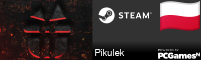 Pikulek Steam Signature