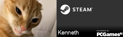 Kenneth Steam Signature