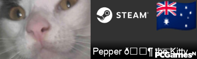 Pepper 🌶 the Kitty🐈 ❤ Steam Signature