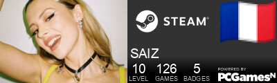 SAIZ Steam Signature