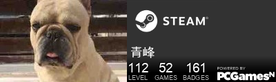 青峰 Steam Signature
