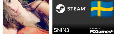 SNIN3 Steam Signature
