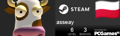 asseay Steam Signature