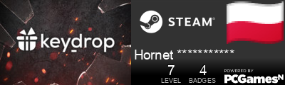 Hornet *********** Steam Signature