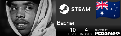 Bachei Steam Signature
