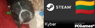Kyber Steam Signature
