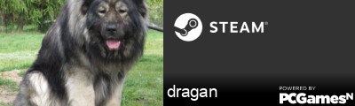 dragan Steam Signature