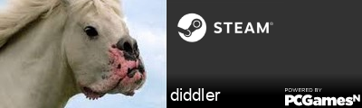 diddler Steam Signature