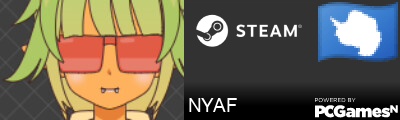 NYAF Steam Signature