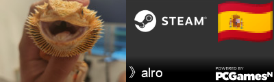 》alro Steam Signature