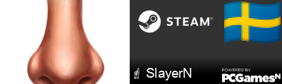 ☝ SlayerN Steam Signature