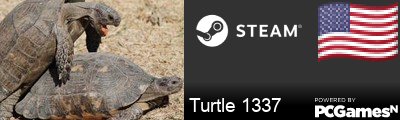 Turtle 1337 Steam Signature