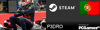 P3DRO Steam Signature